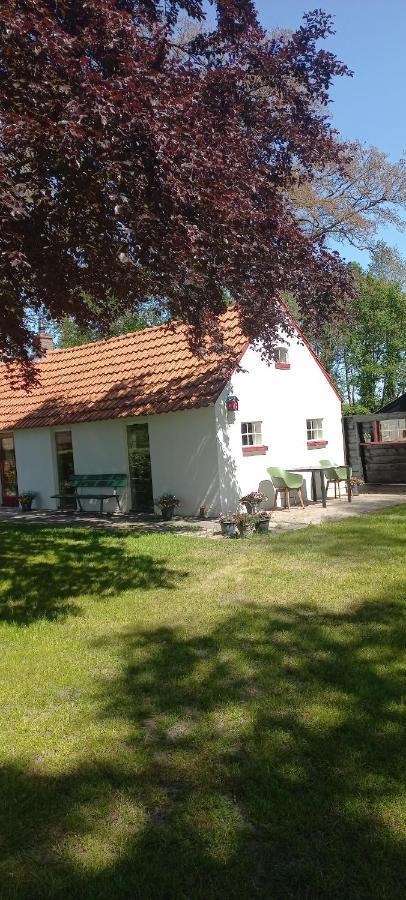 Vakantiewoning 'T Bakhuus Bergentheim Luaran gambar